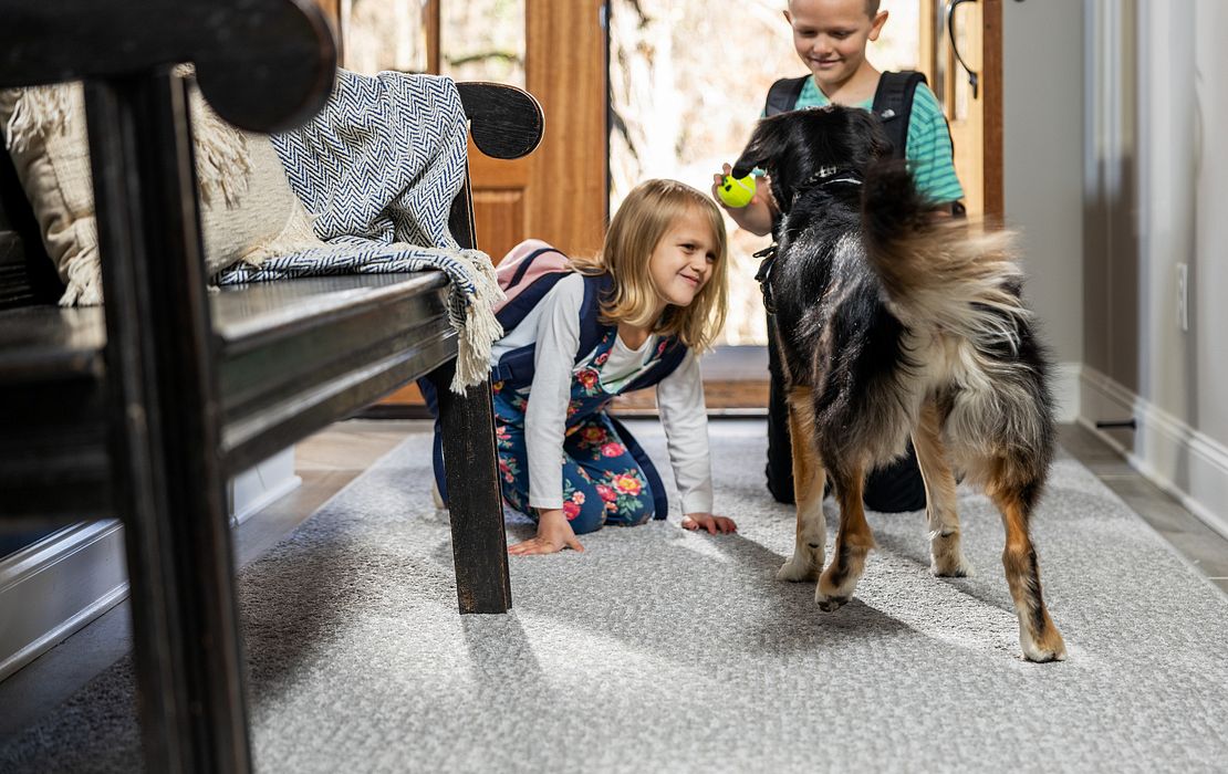 Pet Perfect Collection Designed for you. Perfect for your pet. Shaw